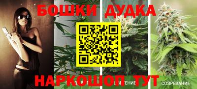 спиды Донской