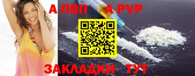 спиды Донской