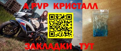 спиды Донской